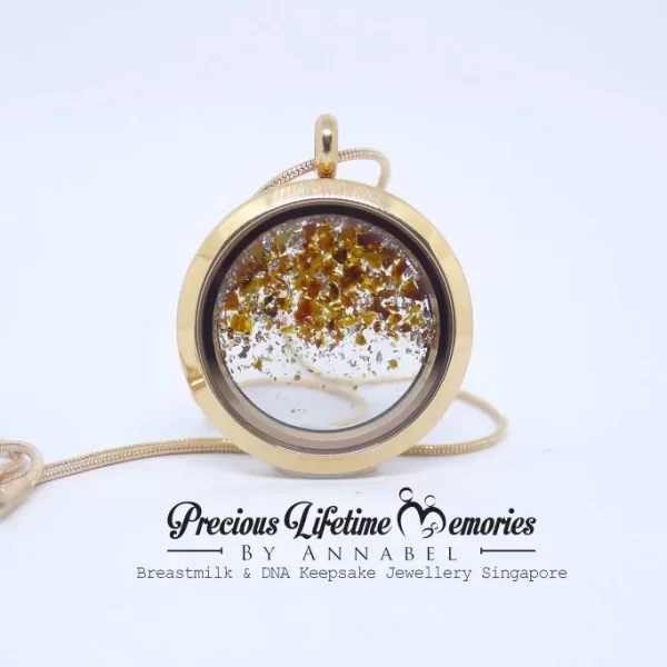 Umbilical Cord Dust Glass Locket