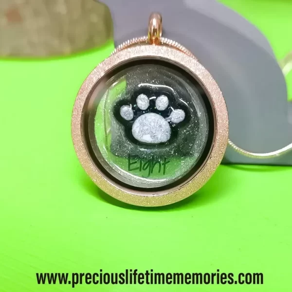 Cremation Pets Ashes Paw Keepsake Glass Locket